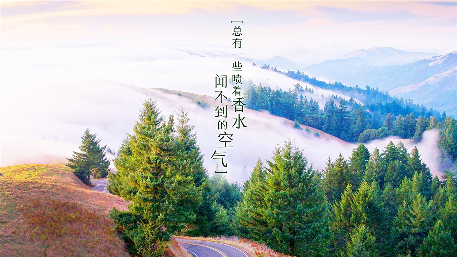 赛季巨星表现盘点：哪些球员兑现了天赋？，新赛季球星排名