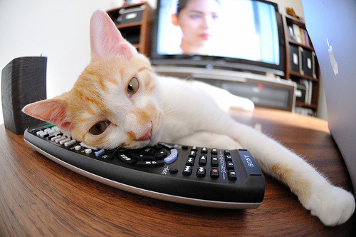 意甲裁判行为在多语境交流中的判罚偏差统计研究，意甲 裁判