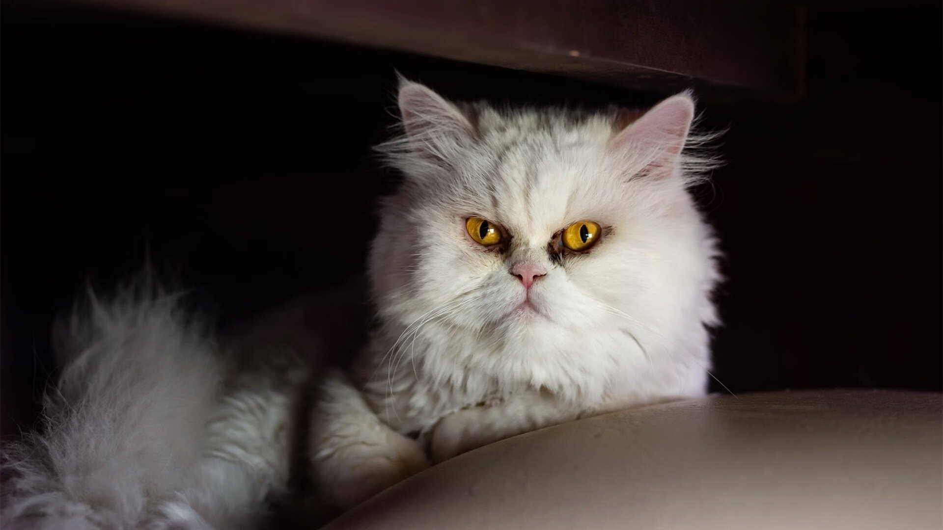 九游网页版官网-乒乓球青训推广到民族地区获好评，乒乓球青训班