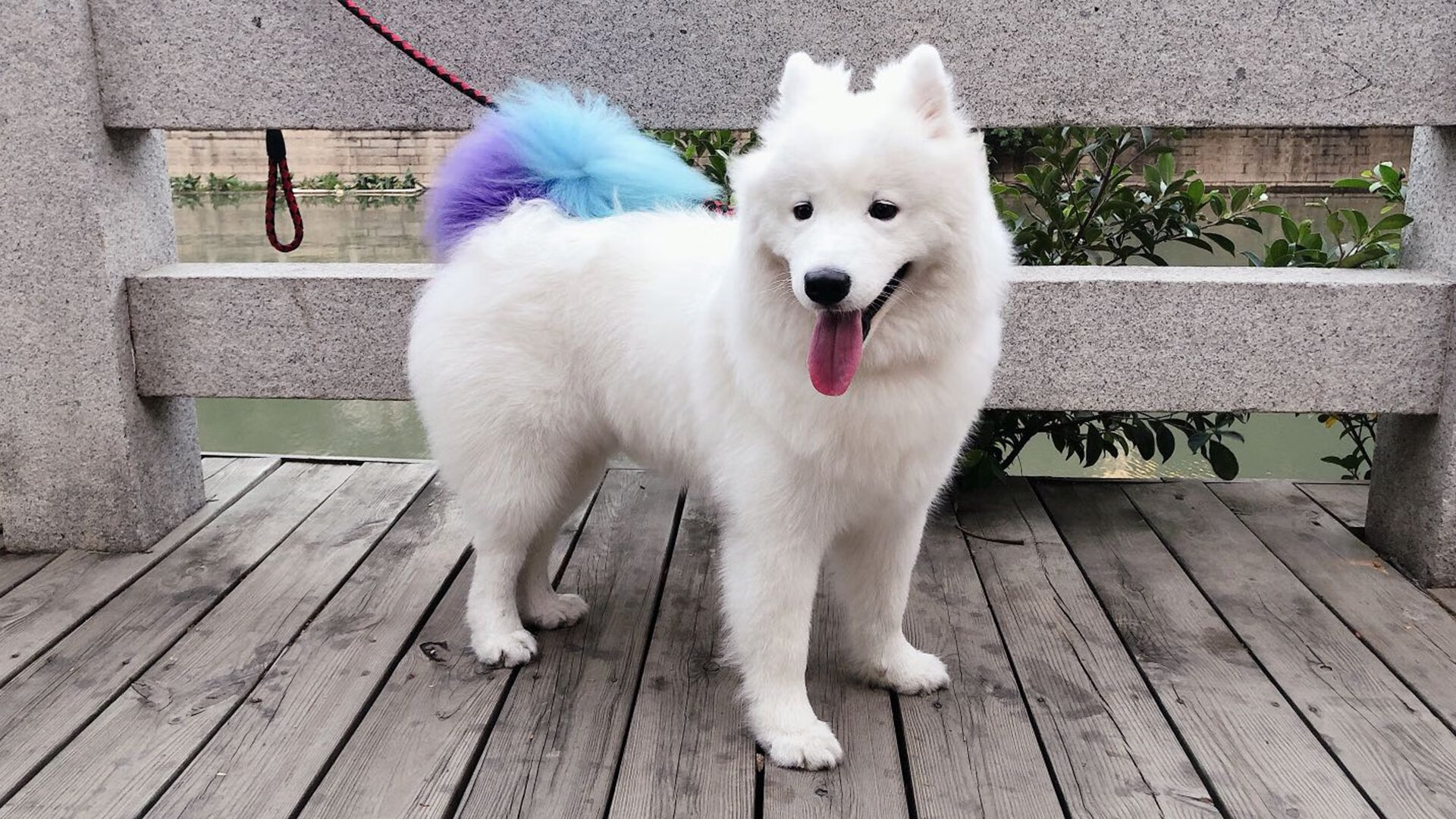 乒乓球青训推广到民族地区获好评，乒乓球青训班