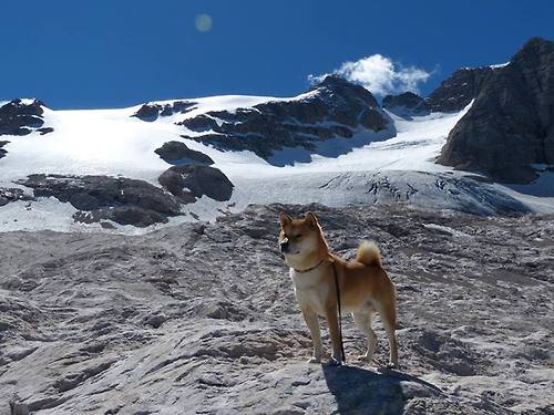 九游娱乐-体育新闻中心协办全国体育数据应用技术交流会，体育大数据中心