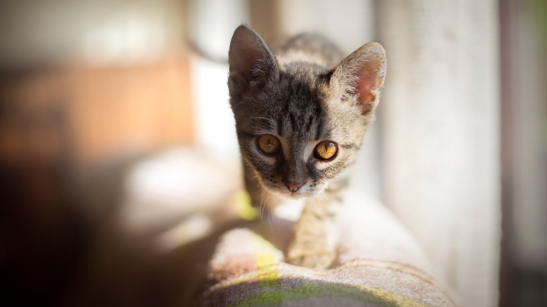 Jiuyou-全国街舞精英赛火热进行运动潮流结合文化，街舞全国邀请赛