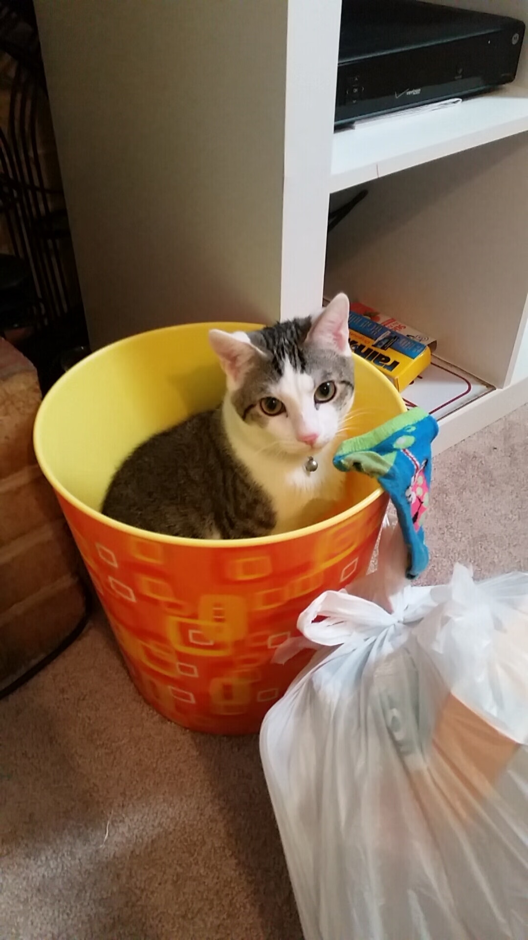 JIU YOU GAME-加拿大队的未来：如何通过全方位支持，培养世界级球员，加拿大足球队怎么样