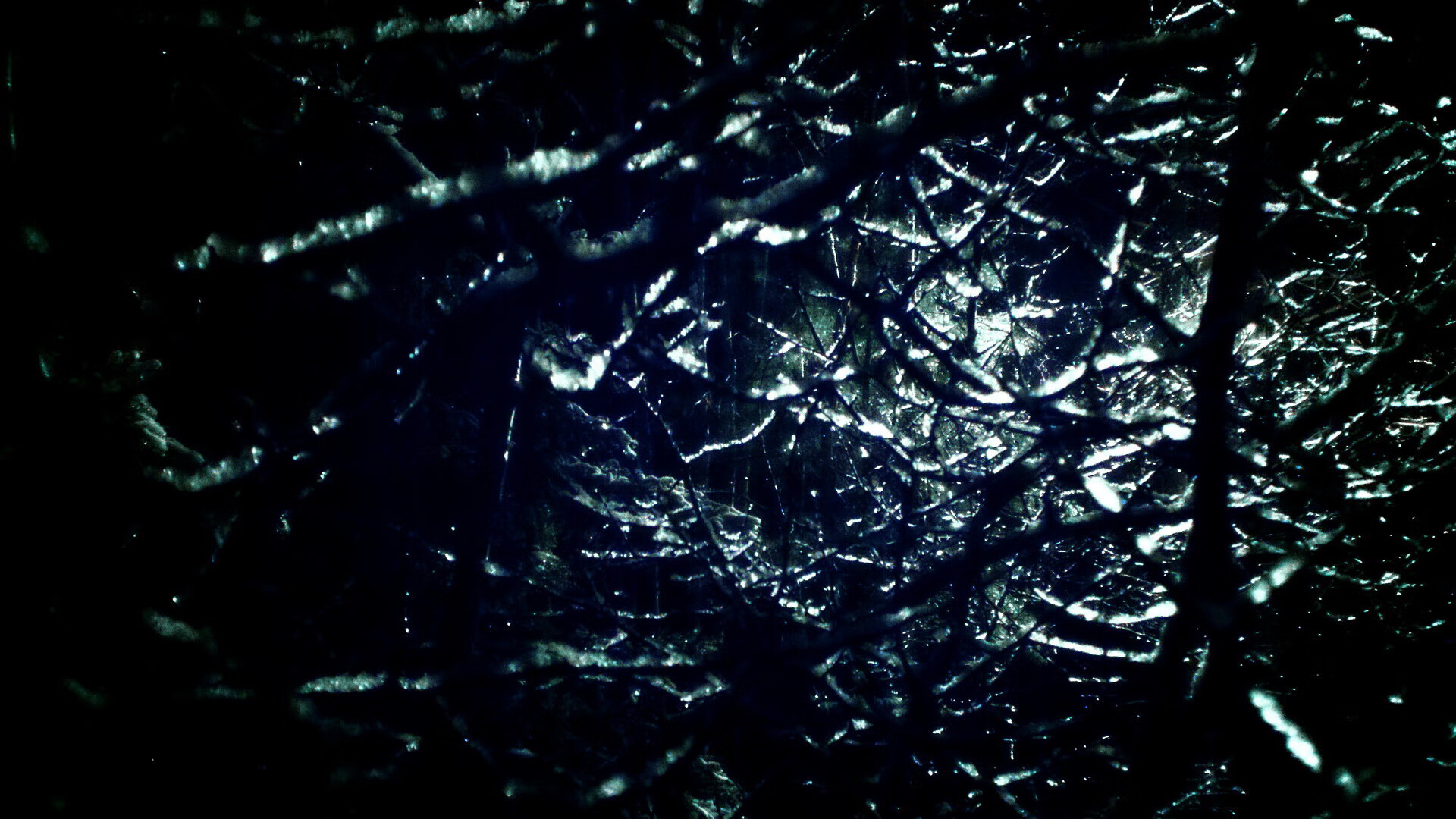 本菲卡替补上场即建功,体现板凳深度,本菲卡著名球员