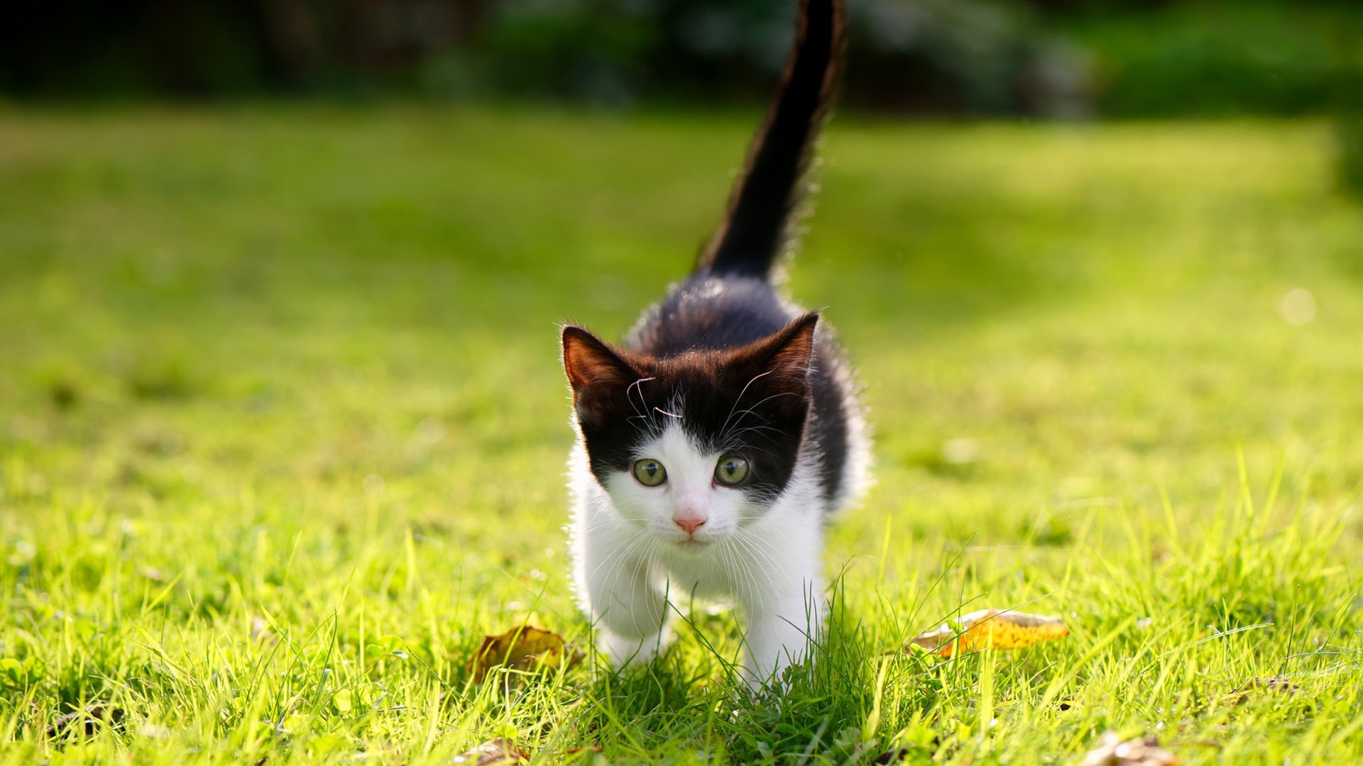 该项目冲刺阶段划水节奏明显加快,冲刺项目建设