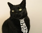 马拉松赛事突破报名人数新高，2021马拉松多少人