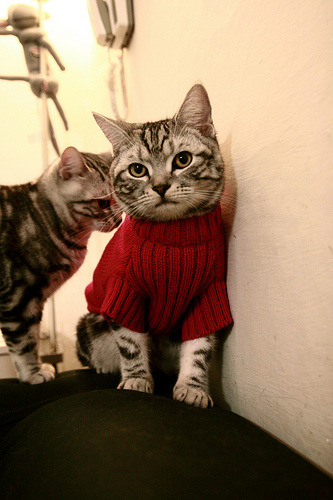 九游-C罗换上新战靴完成帽子戏法，c罗所有帽子戏法