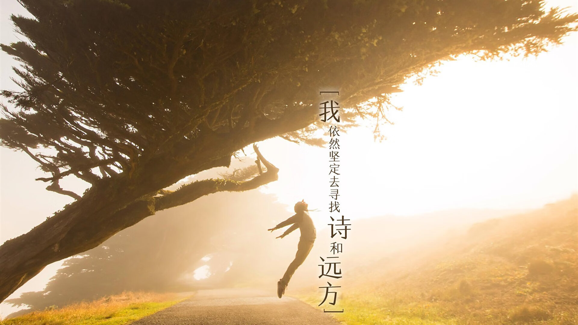 体育新闻中心队伍阵容发布,体育新闻中心队伍阵容发布最新