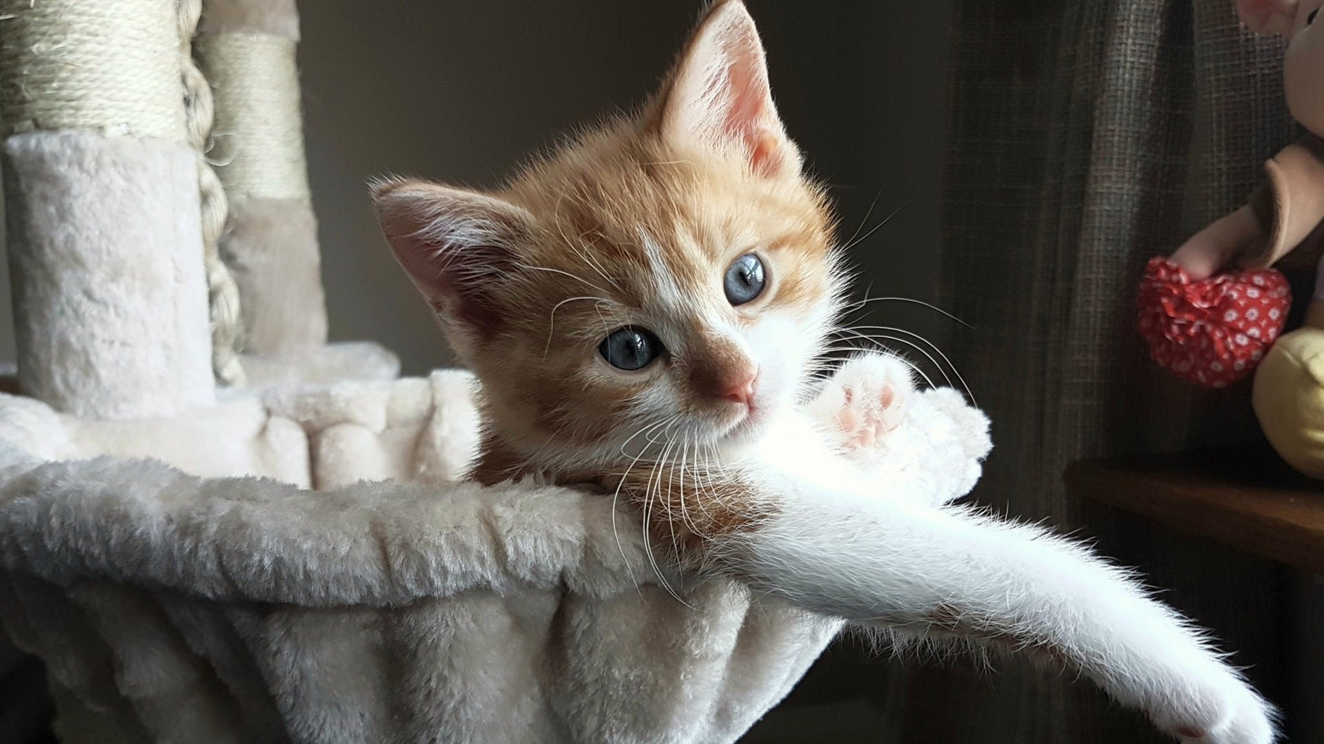 Jiu You-塞维利亚状态火热，冲击欧洲赛场佳绩