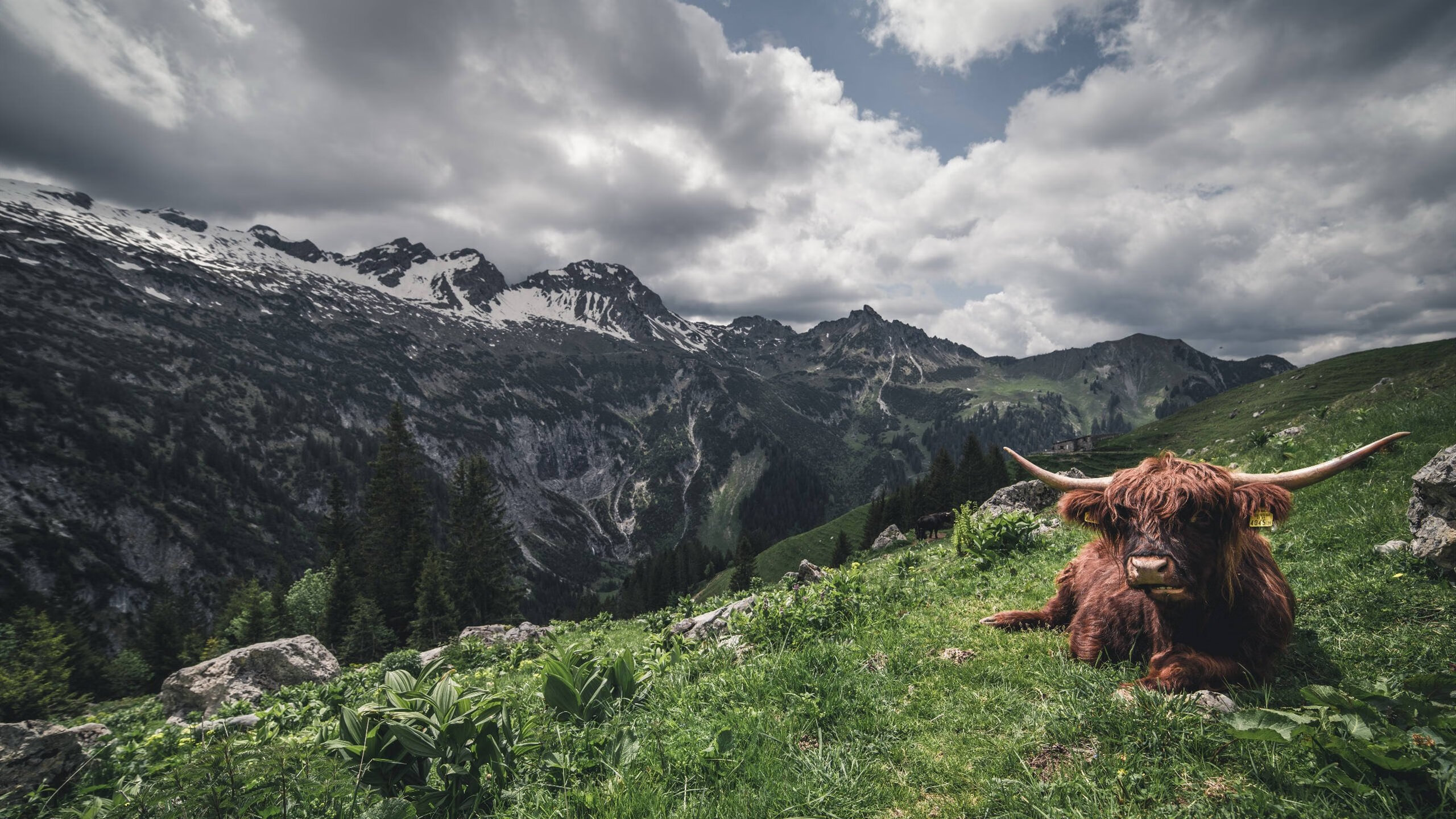 库里晒家庭训练日常强调陪伴重要，库里训练视频基础动作