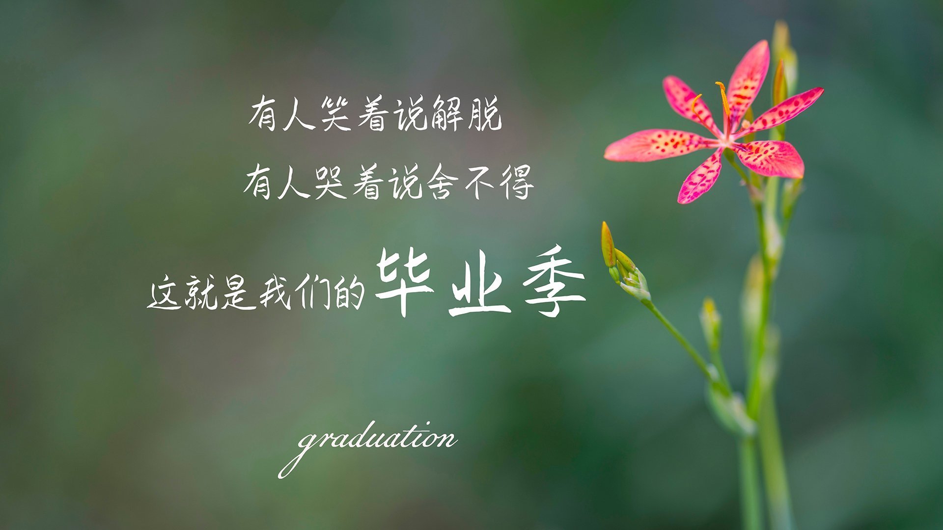 跳水组合动作对称性获认可，跳水动作选择规则