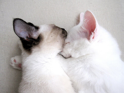 JIU YOU GAME-青训营注重技能细节打磨强化基本功训练，打磨技能培训