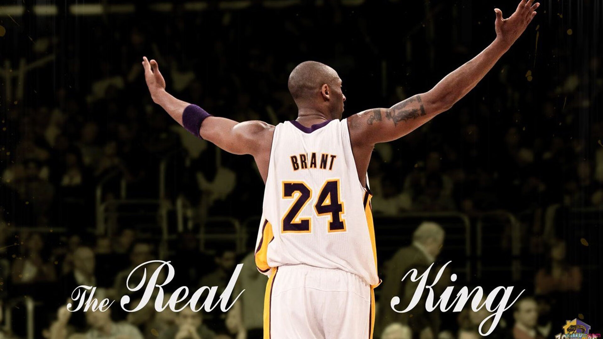 本周NBA社交媒体热点回顾，本周nba社交媒体热点回顾分析